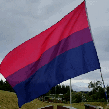 A Red Purple And Blue Flag Flies In The Wind GIF