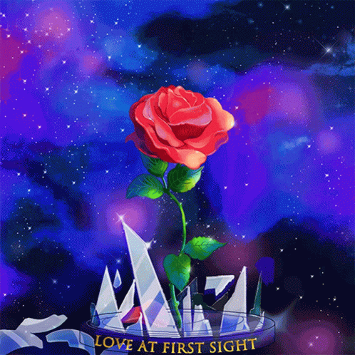 A Red Rose In A Glass Container With The Words Love At First Sight On The Bottom GIF
