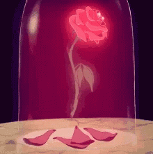 A Red Rose Is Glowing In A Glass Dome GIF