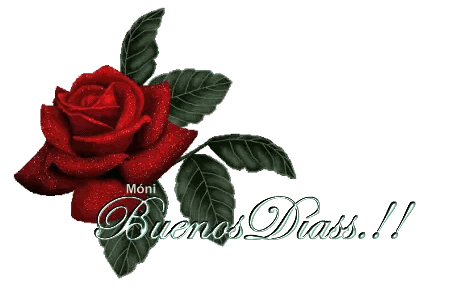a red rose is surrounded by green leaves and the words buenos diass