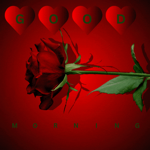 A Red Rose Is Surrounded By Red Hearts With The Words Good Morning GIF