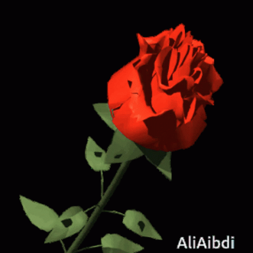 A Red Rose On A Black Background With The Name Aliaibdi On The Bottom GIF