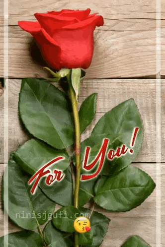 A Red Rose On A Wooden Table With The Words For You On It GIF