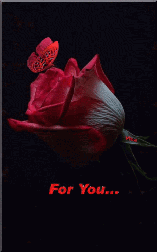 A Red Rose With A Butterfly On It And The Words " For You " Below It GIF