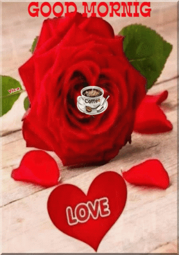 A Red Rose With A Cup Of Coffee In It GIF