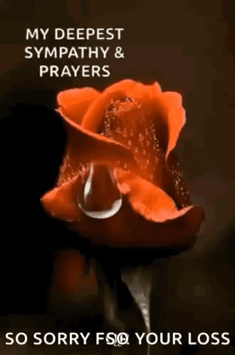 a red rose with a drop of water on it and the words my deepest sympathy and prayers so sorry fso your loss