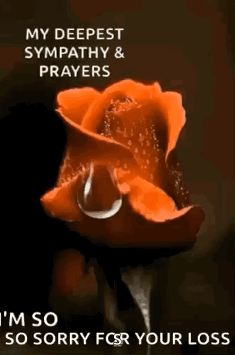 A Red Rose With A Tear Coming Out Of It GIF