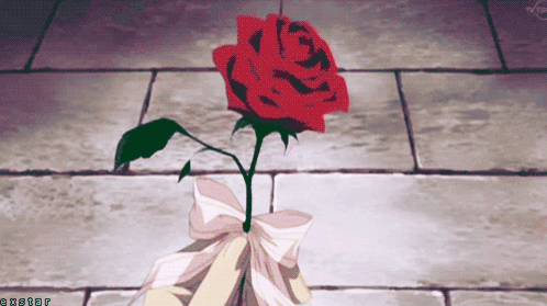 A Red Rose With A White Bow Is On A Tiled Floor With A Watermark That Says Cxstar GIF