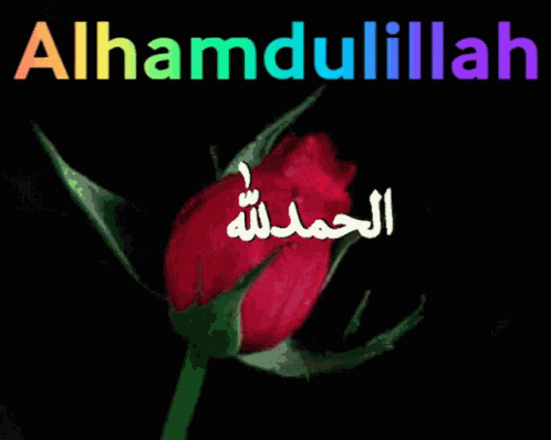 A Red Rose With Arabic Writing On It And The Words Alhamdulillah GIF