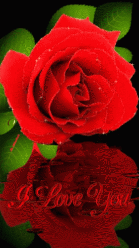 A Red Rose With Green Leaves And The Words I Love You On The Bottom GIF