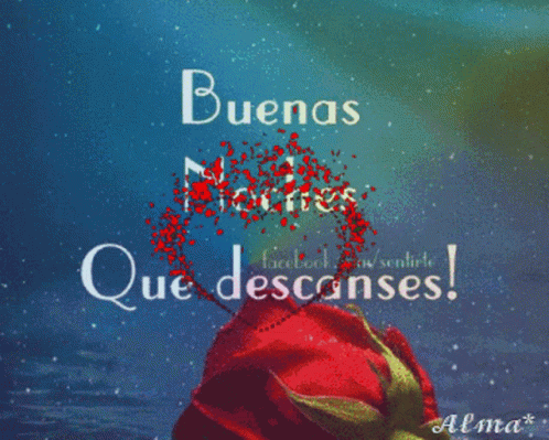 A Red Rose With The Words " Buenas Noches Que Descanses " Above It GIF