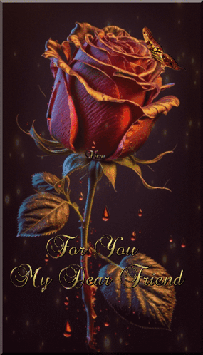 A Red Rose With The Words For You My Dear Friend On It GIF