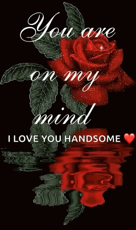 A Red Rose With The Words " You Are On My Mind I Love You Handsome " On It GIF