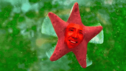 A Red Starfish With A Man 'S Face On It Is Floating In The Water . GIF