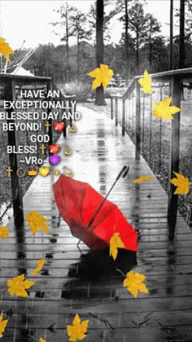 A Red Umbrella Sits On A Wooden Walkway In The Rain With Leaves Falling Around It GIF