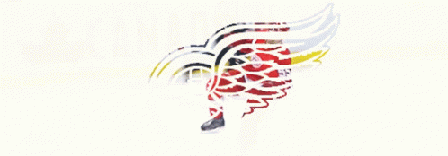 A Red White And Black Wing With A Circle In The Middle On A White Background GIF