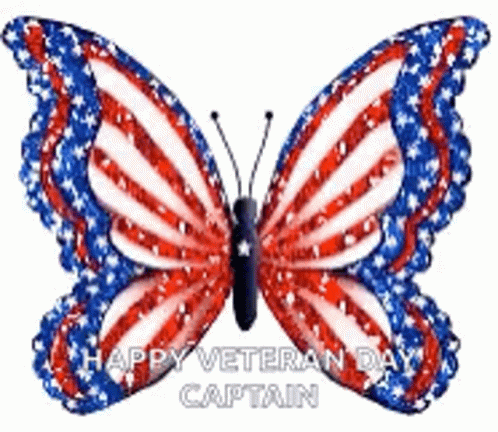 A Red , White And Blue Butterfly With The Words `` Happy Veteran Day Captain '' Written On It GIF