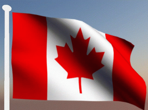 a red white and blue canadian flag with a maple leaf