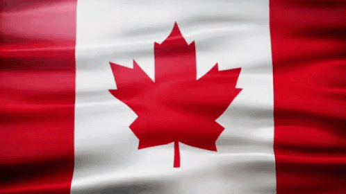 A Red White And Blue Canadian Flag With A Maple Leaf On It GIF