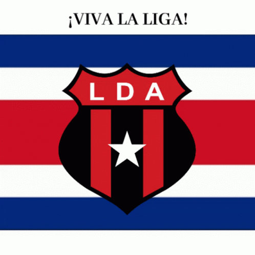 A Red White And Blue Flag With A Shield That Says Lda And A Star GIF