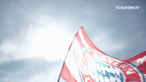 A Red White And Blue Flag With Bayern On It GIF