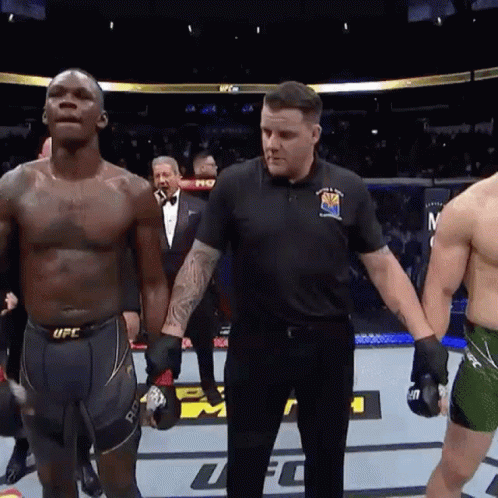 A Referee Holds The Hand Of A Fighter In A Ufc Match GIF