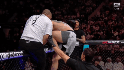 A Referee Holds The Leg Of A Fighter In A Cage During A Ufc Fight GIF