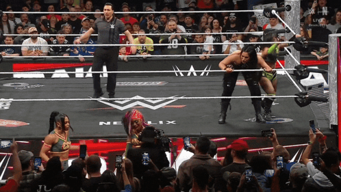 A Referee Stands In The Middle Of A Wrestling Ring With A Sign That Says Nelix On It GIF