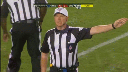 a referee stands on the field during a football game between the cowboys and the jets