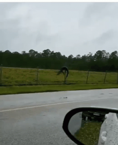 A Reflection Of A Car In A Rear View Mirror Of A Grassy Field GIF