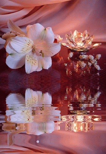 A Reflection Of A Flower In The Water With A Candle GIF
