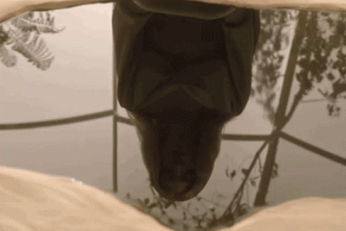 a reflection of a person 's face in a pond