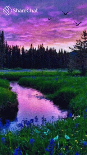 A River Flowing Through A Grassy Field With Birds Flying In The Background And The Words Sharechat At The Bottom GIF