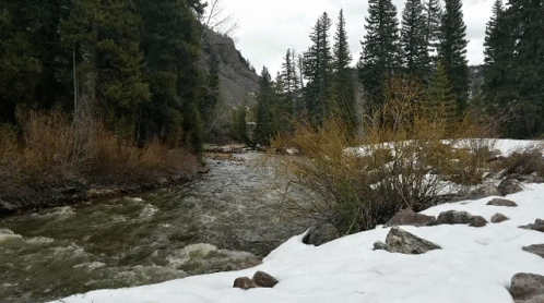 A River Flowing Through A Snowy Forest With Trees On The Side GIF