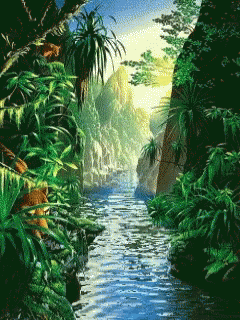A River Running Through A Lush Green Forest GIF