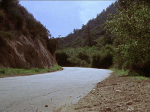 A Road That Is Going Through A Valley With Trees On Both Sides GIF