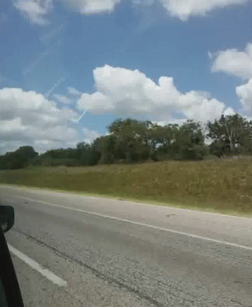 A Road With Trees On The Side Of It And A Blue Sky GIF