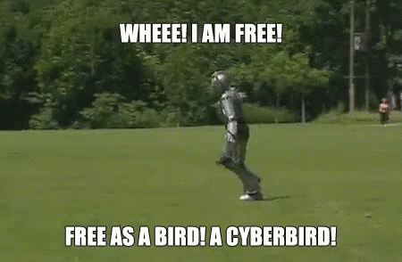 a robot is running in a field with the words `` free as a bird ! a cyberbird ! '' written on it .