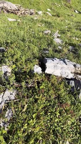 A Rock In The Middle Of A Grassy Field With A Hole In It GIF