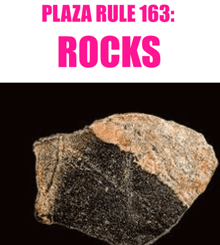 A Rock With The Words Plaza Rule 163 Rocks On It GIF