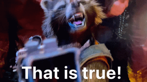 A Rocket Raccoon Holding A Camera With The Words That Is True Below Him GIF