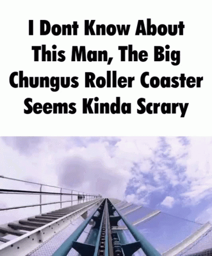 A Roller Coaster With A Caption That Says I Dont Know About This Man , The Big GIF
