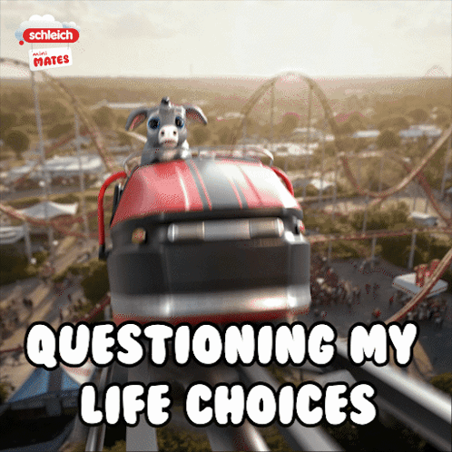 a roller coaster with the words questioning my life choices on it