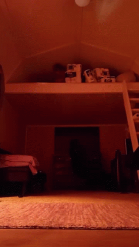 A Room With A Ladder Leading Up To A Loft GIF