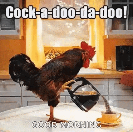 A Rooster Is Pouring Coffee Into A Cup . GIF