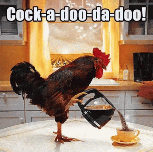 A Rooster Is Pouring Coffee Into A Cup With The Caption Cock-A-Doo-Da-Doo ! GIF