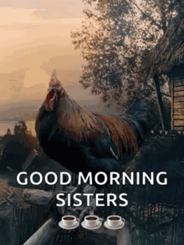 A Rooster Is Sitting On A Tree Branch With Two Cups Of Coffee . GIF