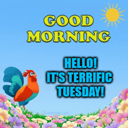 A Rooster Standing In A Field Of Flowers With The Words " Good Morning Hello It 'S Terrific Tuesday " GIF