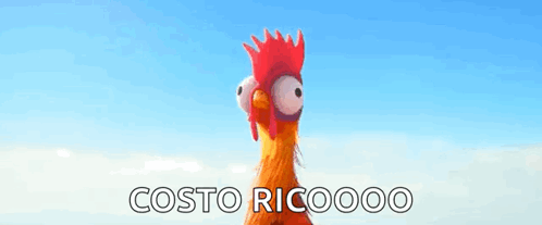 A Rooster With A Red Crest Is Standing In Front Of A Blue Sky With The Words Costo Ricooo On The Bottom . GIF