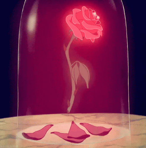 A Rose In A Glass Dome With Petals On The Floor GIF